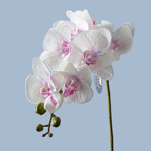 Flor Artificial de Phalaenopsis, Orquídea de Estilo Europeo con 8 Cabezas, Tacto Humectante, Decoración para Sala de Estar - Product Image 4
