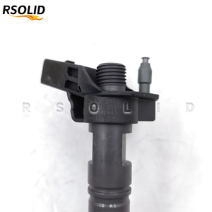 Inyector de Combustible Diésel Common Rail Rsoliddiesel 0445116034 para CDBA, CDCA, CAAA, CAAB, CAAD, CAAE, CAAC, Inyector para Transporter - Product Image 4