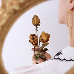 Fashion Wholesale Fine 14k 18k <b>Gold</b> Plated 316L Stainless Steel Tassel Drop <b>Dangle</b> <b>Gold</b> <b>Earrings</b> for Women - Product Image 5
