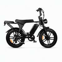 Vélo électrique Scrambler Style Fat Tire 750W 48V 15AH avec porte-bagages arrière, cadre en acier haute teneur en carbone, 7 vitesses, frein à disque hydraulique, écran LCD