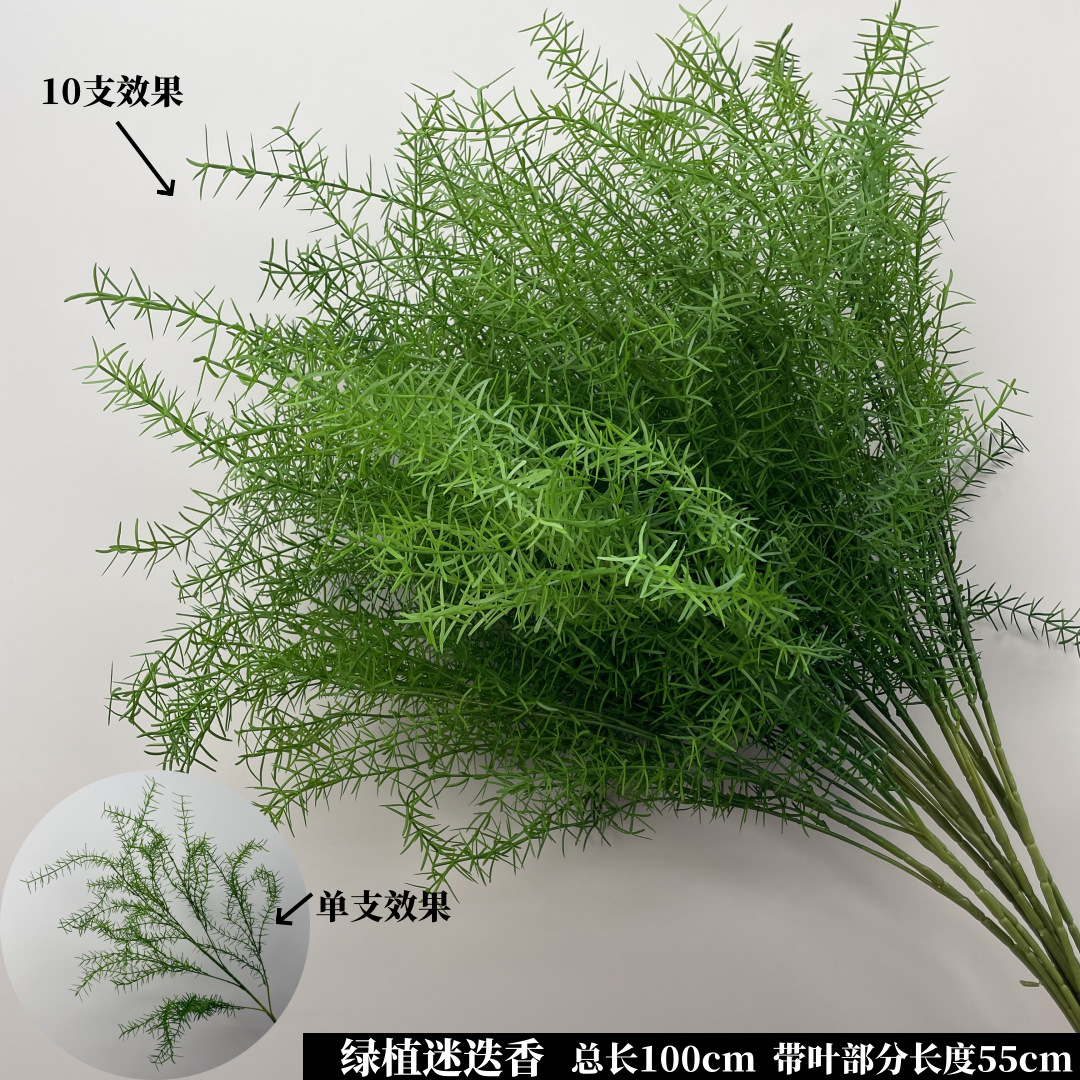 Romarin, plante verte