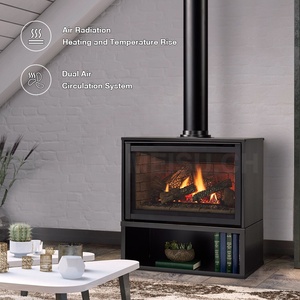 Chimenea de Gas Natural/Gas Licuado con Ventilación para Sala de Estar MEISU.CH - Product Image 3