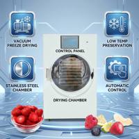 Machine de lyophilisation automatique pour fruits, légumes, viande et café – Sécheur alimentaire sous vide
