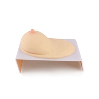 Modelo de Seno Realista de TPR para Masaje de Senos y Enseñanza de Lactancia 20x12x7cm 600g