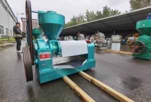 Máquina automática <span class=keywords><strong>de</strong></span> prensa <span class=keywords><strong>de</strong></span> <span class=keywords><strong>aceite</strong></span> <span class=keywords><strong>de</strong></span> coco virgen YZYX120, nueva línea <span class=keywords><strong>de</strong></span> producción <span class=keywords><strong>de</strong></span> <span class=keywords><strong>aceite</strong></span> <span class=keywords><strong>de</strong></span> cocina en frío, máquina para hacer <span class=keywords><strong>aceite</strong></span> a base <span class=keywords><strong>de</strong></span> semillas - Product Image 2
