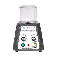 Mini KT-100 Magnetic Tumbler 100mm Schmuck Polierer und Finisher Maschine 220V Marke Neue