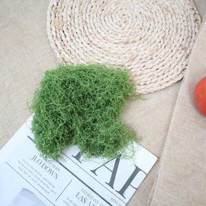 Mini-jardin paysager artificiel DIY, plantes en mousse légères pour la décoration de la maison et du bureau - Product Image 3