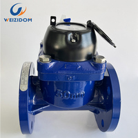 Medidor de Agua Mecánico Weizidom OEM IP68 para Riego, Conexión con Brida DN200, Caudal de 25-400m3/h, Salida de Pulso