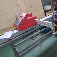 Fabriek Prijs Cnc Interface Mach 3 Plasmasnijder 100 Amp Antorcha Draagbare Cnc Plasma Snijmachine