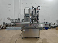 Machine de remplissage automatique de liquides à haute viscosité, 200 ml, en plastique, pour sauce chili, ketchup, purée de tomates, boissons