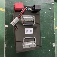 Batterie LiFePO4 personnalisée 48V 60V 72V 80Ah 100Ah 120Ah 150Ah avec boîtier en acier inoxydable, BMS JBD, 8000 cycles, à décharge profonde pour tricycle et food truck
