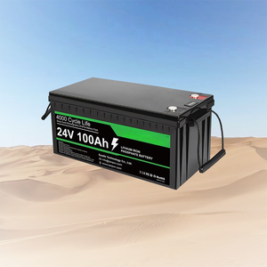 Chu kỳ sâu 12V LiFePO4 pin Lithium ion 50Ah 300ah 200AH 100Ah du thuyền thuyền EV 12V 24V 36V 48V 50Ah pin Lithium ion - Product Image 1