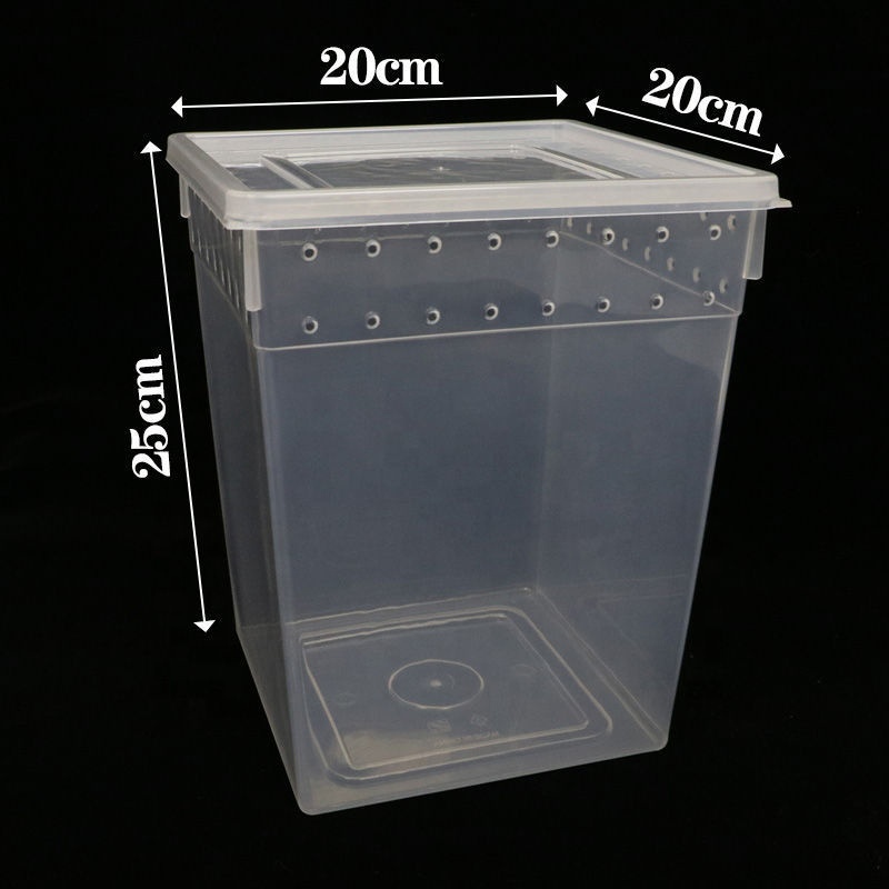 plastic arboreal feeding box or mating box