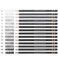 Crayons en graphite HB 2B de qualité supérieure, fabriqués en usine OEM, ensemble de crayons professionnels pour le dessin, le croquis et l'art, fournisseur de papeterie