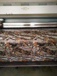 Envoltura de vinilo para <span class=keywords><strong>coche</strong></span>, película de otoño, REALTREE, hoja - Product Image 4