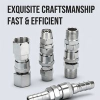 Raccord pneumatique universel de type C Airxs Quick Air Coupling, garantie 1,5 an pour les outils industriels et les systèmes d'air comprimé