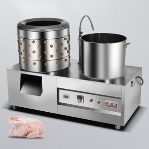 Plumeuse à poulet horizontale <span class=keywords><strong>Leader</strong></span> LZ-65, capacité 14 kg, en acier inoxydable 430SS, neuve, multifonction, facile à utiliser, machine de traitement de la <span class=keywords><strong>viande</strong></span> - Product Image 3