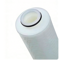 Cartouche filtrante à membrane en Nylon66 1,0 µm Code 7 pour la filtration industrielle de la bière