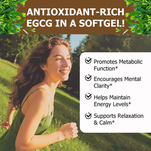 Hot Selling Green Tea Capsules Promotes Metabolic Function Encourages Mental Clarity Contains Green Tea Extract - Product Image 3