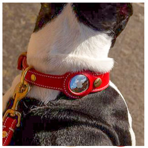 Collar de Cuero para Animales con AirTag, Collar Ajustable para Perro con Hebilla Metálica Resistente y Funda para Rastreador AirTag - Product Image 6