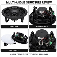Haut-parleur de plafond 8 pouces avec amplificateur intégré, en plastique, pour usage intérieur/extérieur, 6 ohms, 30W RMS, OEM ODM, fourniture en gros d'usine