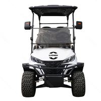 Voiture de golf électrique 6 places CE EPA, buggy tout-terrain pour la plage avec batterie au lithium, provenant d'une usine de machines de construction chinoise