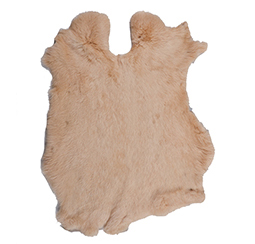 Camel Beige