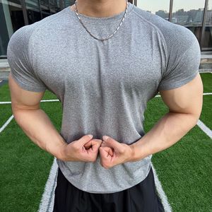 T-shirt de compression pour homme en nylon, sans couture, séchage rapide, pour la gym, la course à pied, extensible - Product Image 1