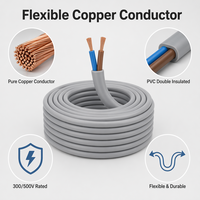 Câble RVV 2 conducteurs 0,5 mm² souple, gaine isolante en PVC, fil électrique en cuivre pour câblage électrique intérieur, système d'éclairage