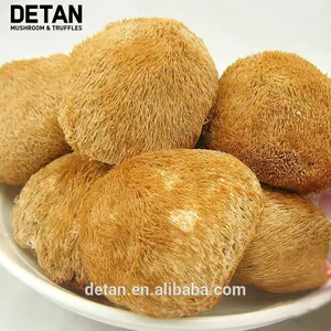 Detan Pom Pom عيش الغراب الجاف