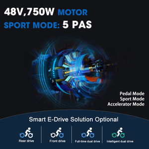 Vélo électrique <span class=keywords><strong>20</strong></span> <span class=keywords><strong>pouces</strong></span> gros pneu 750W 48V 16AH 25AH batterie au lithium en alliage d'aluminium eBike frein à disque hydraulique à 7 vitesses Cafe <span class=keywords><strong>Racer</strong></span> - Product Image 2