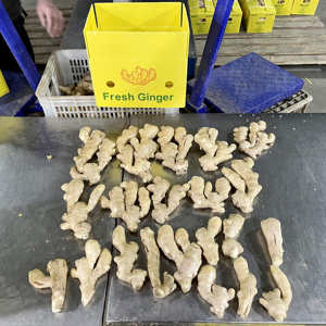 Diskon besar 2023 jahe segar Cina jahe segar - Product Image 4