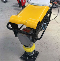 Nouveau compacteur portatif de pilon de bourrage de terre pour l'usage à la maison avec des composants de noyau de roulement de moteur de moteur