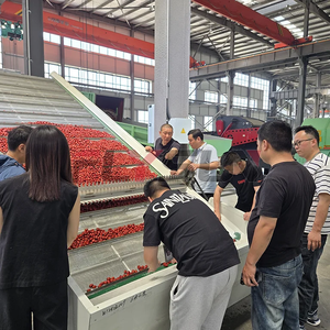 Línea de Producción de Deshumidificación y Secado de Frutos Secos y Dátiles con Banda Transportadora Continua de Malla, PLC, Acero Inoxidable 304 - Product Image 2