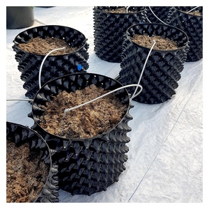 <span class=keywords><strong>Pot</strong></span> <span class=keywords><strong>en</strong></span> plastique pour plantes à air, vente chaude, <span class=keywords><strong>pas</strong></span> <span class=keywords><strong>cher</strong></span>, pour la taille des plantes, contrôle des racines, conteneur pour plantes - Product Image 6