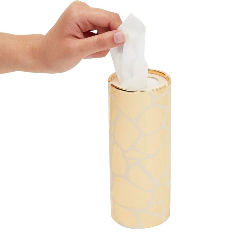 COSMEVIVI 2pièces Boîte à Mouchoirs Cylindrique Pour Voiture Accessoire