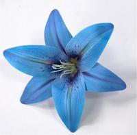 Têtes de lys en latex naturel séché, accessoires 3D simulés pour la décoration d'Halloween et les présentoirs de fenêtres intérieures