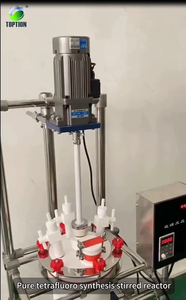 Enhanced Performance PTFE Stirring Reactor, Double Layer Cylindrical Design with Jacketed Heating Option - Product Image 4