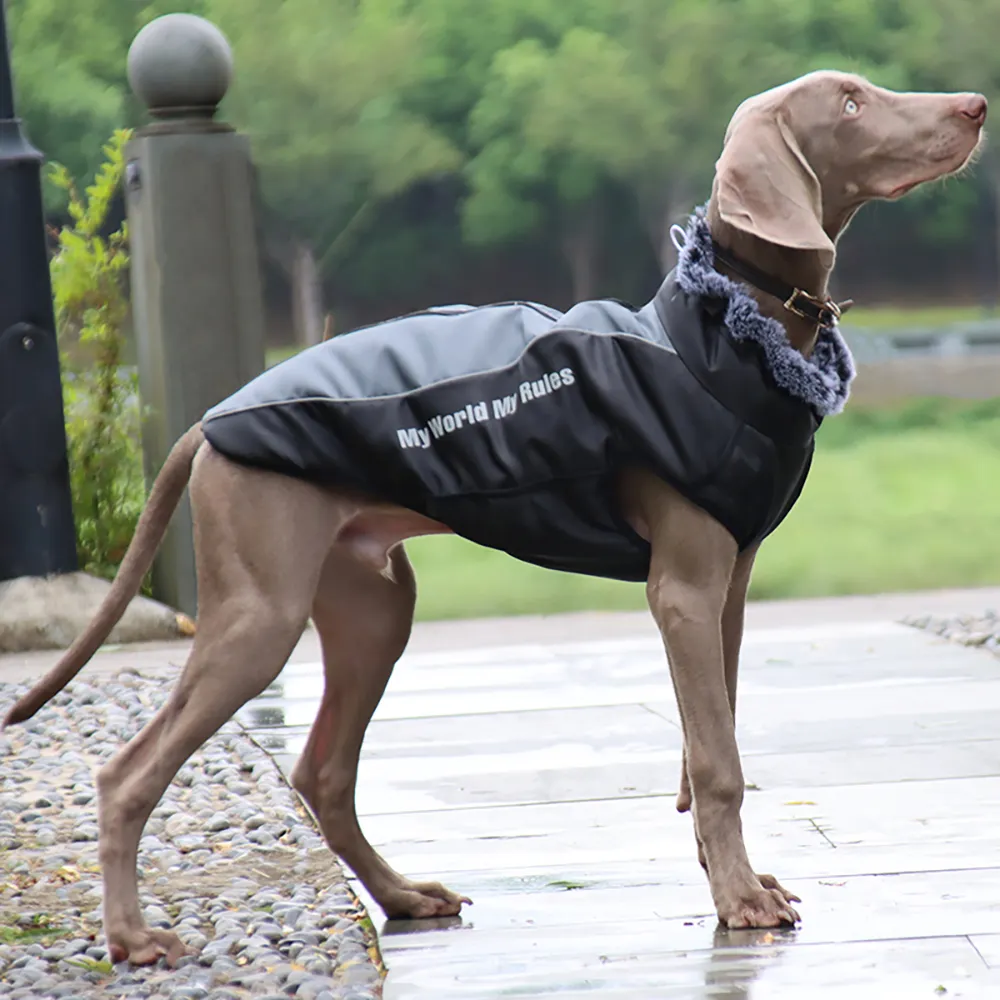 ホット販売プリント暖かい犬のジャケット冬の猫の犬のコートの犬のジャケット防水ペットジャケットの服
