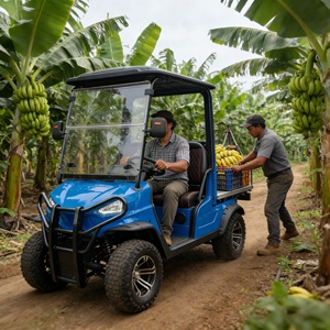 Véhicule utilitaire électrique de Type UTV, buggy <span class=keywords><strong>tout</strong></span>-<span class=keywords><strong>terrain</strong></span>, pour agricole et le jardin - Product Image 2