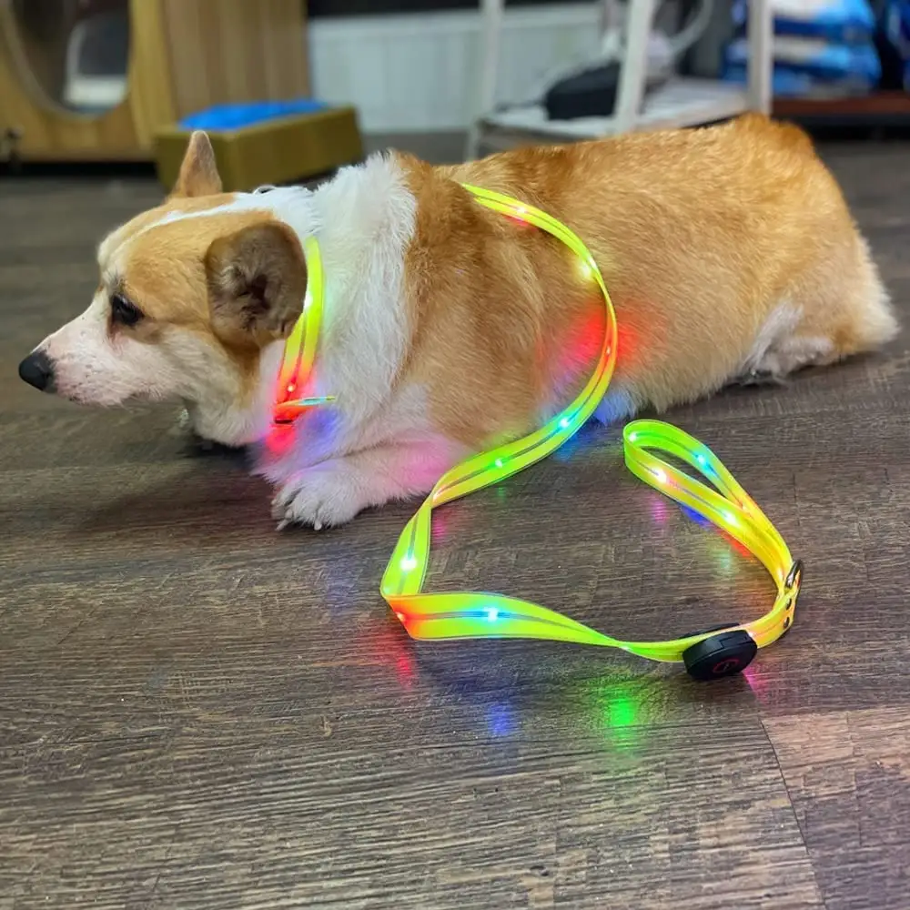 Led không thấm nước Pet Dog Collar Leash Set USB có thể sạc lại màu sắc thời trang phát sáng trong bóng tối đêm đi bộ an toàn Dây Xích Chó cho chó