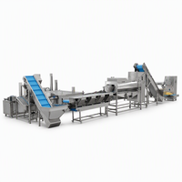 Machine électrique de production de frites de pommes de terre non frites avec convoyeur, lavage, pelage, découpe, blanchiment, séchage et emballage