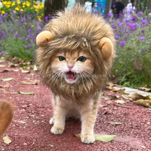 Ventes en gros de chapeaux d'hiver mignons en forme de lion avec oreilles de chat, vêtements pour animaux de compagnie en polyester, mode 2022 - Product Image 3