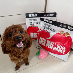 OEM ODM fábrica al por mayor alimentos para mascotas a granel varias formas bajo en grasa alta proteína precio completo comida para perros comida seca para perros - Product Image 4