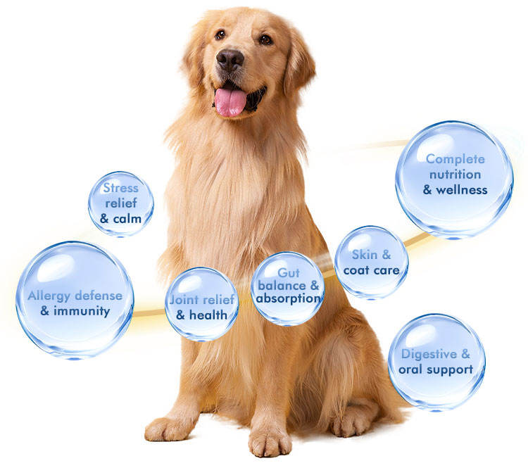 La commande est un prix prépayé