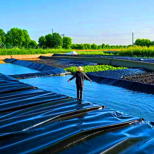 0.7mm 0.8mm 1mm 1.5mm <span class=keywords><strong>HDPE</strong></span> kolam geomembranes Cá Ao Lót bơi AO phim bền fishpond lót - Product Image 1