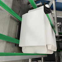 Machine d'emballage entièrement automatique pour bouteilles et sachets de café individuels