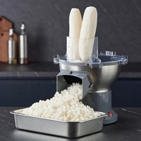 Máquina Industrial de Bajo Precio para Cortar en Rodajas y en Cubos Repollo, Patata, Cebolla, Melón Verde y Zanahoria para Cantinas