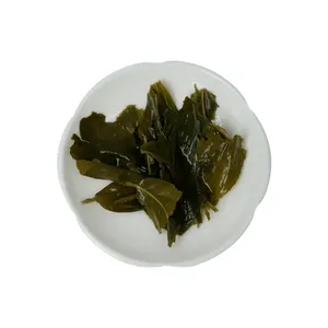 Tè sfuso miglior estratto di tè verde biologico 98% L-teanina in polvere