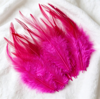 Plumes de coq naturelles teintes en gros de 4 à 6 pouces pour artisanat DIY, costumes, coiffes, décorations de fête et de carnaval